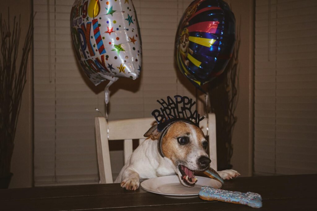 my dog's birthday is coming up and i found 34 things at amazon pet days that made me actually excited about shopping